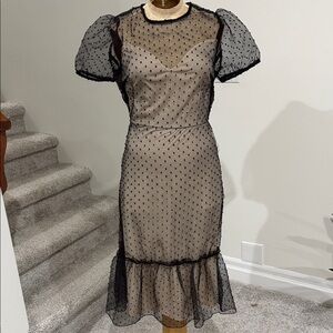 Sheer Black Polka Dot pin up dress